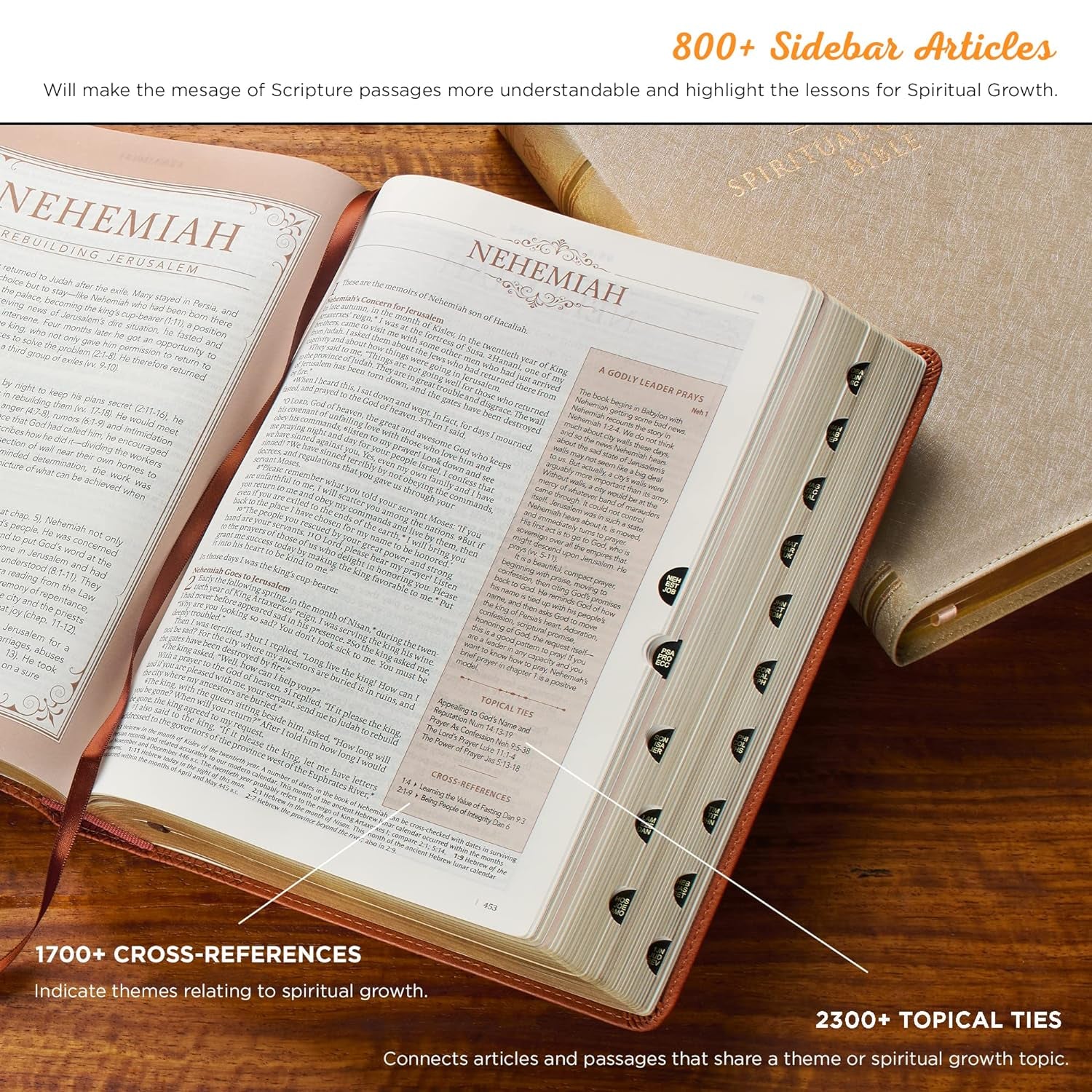 Pearlescent Taupe - Leather Bible, NLT 