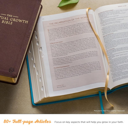 Pearlescent Taupe - Leather Bible, NLT 