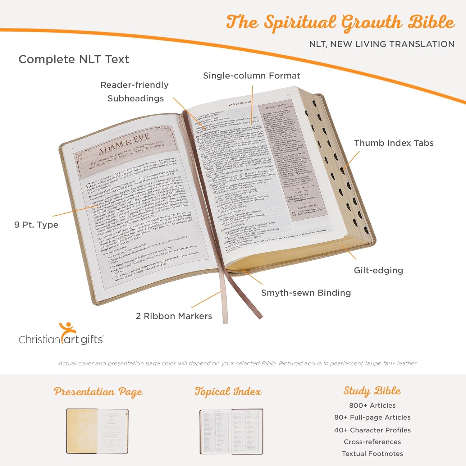 Pearlescent Taupe - Leather Bible, NLT 